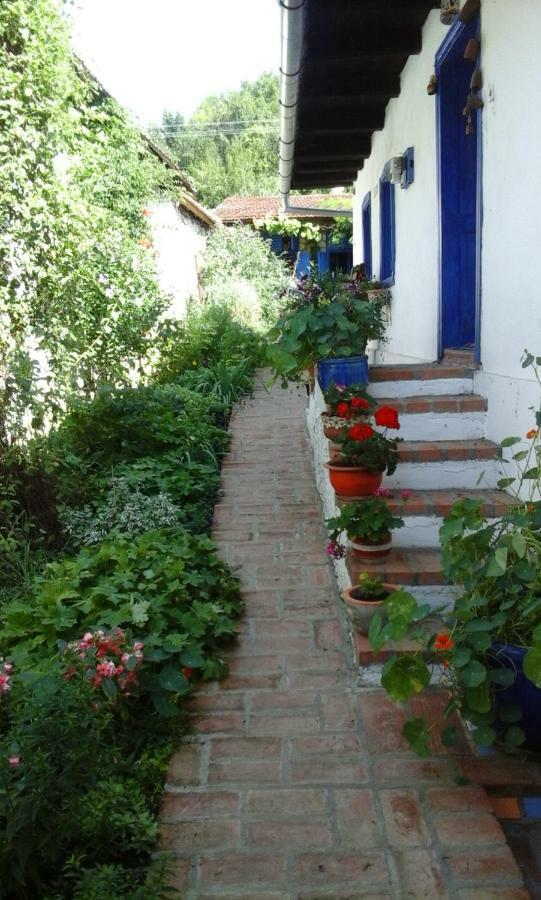 Casa Anca Cheile Nerei Villa Sokolar Exteriör bild