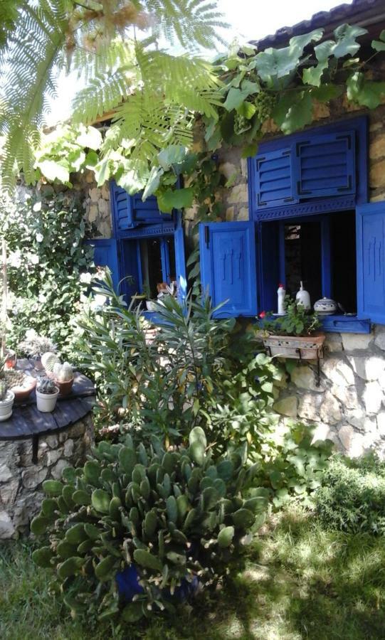 Casa Anca Cheile Nerei Villa Sokolar Exteriör bild